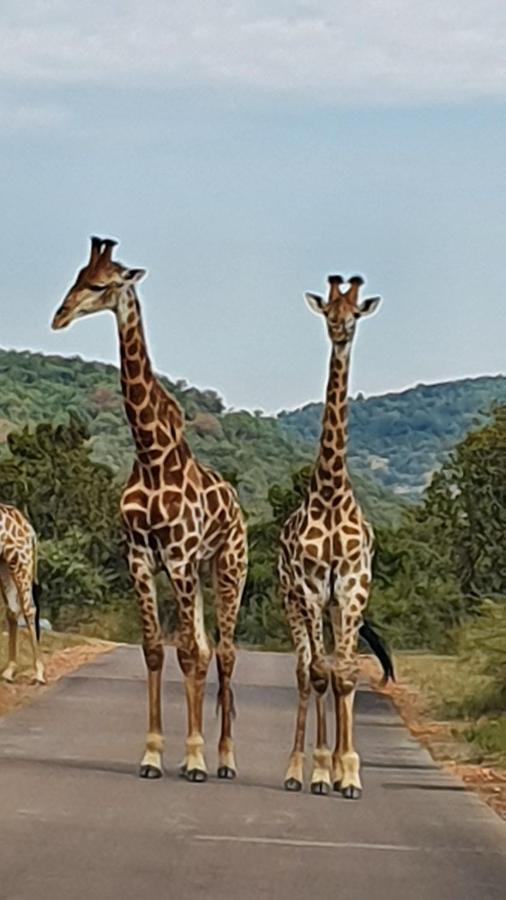 113 Zwartkloof Private Game Reserve Holiday home