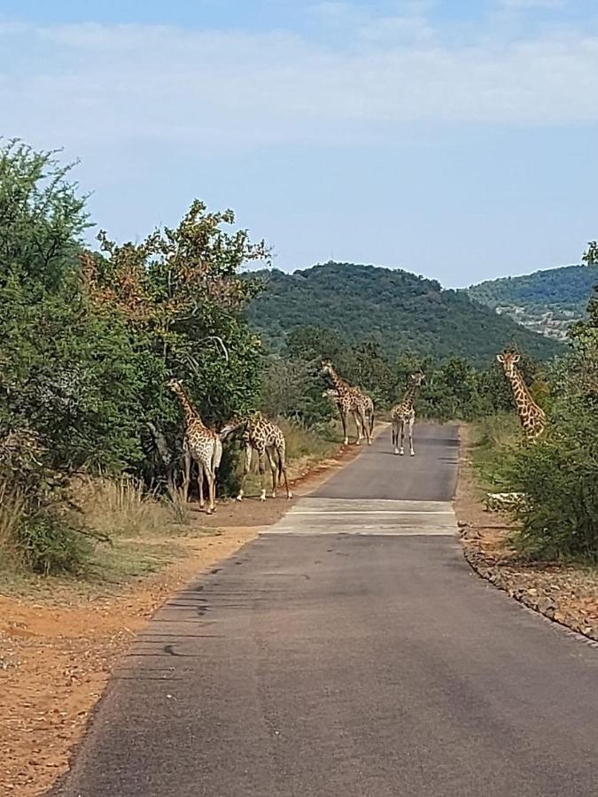 113 Zwartkloof Private Game Reserve