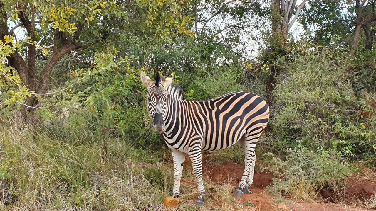 113 Zwartkloof Private Game Reserve Holiday home *
